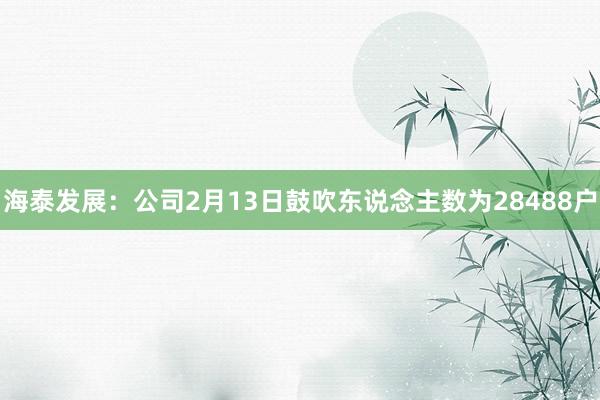 海泰发展：公司2月13日鼓吹东说念主数为28488户