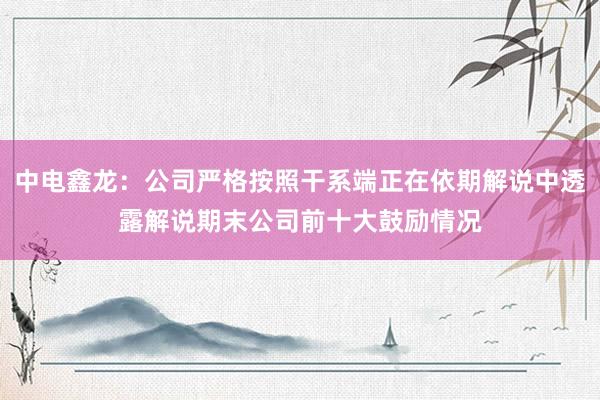 中电鑫龙：公司严格按照干系端正在依期解说中透露解说期末公司前十大鼓励情况
