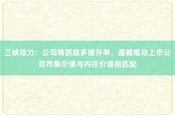 三峡动力：公司将抓续多措并举，遵循推动上市公司市集价值与内在价值相匹配