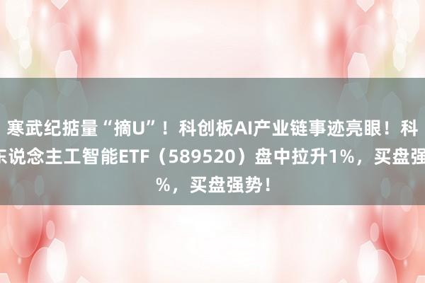 寒武纪掂量“摘U”！科创板AI产业链事迹亮眼！科创东说念主工智能ETF（589520）盘中拉升1%，买盘强势！