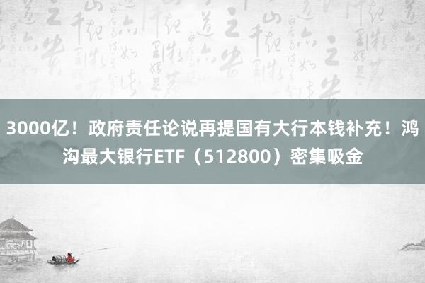 3000亿！政府责任论说再提国有大行本钱补充！鸿沟最大银行ETF（512800）密集吸金