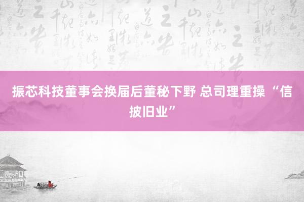 振芯科技董事会换届后董秘下野 总司理重操 “信披旧业”