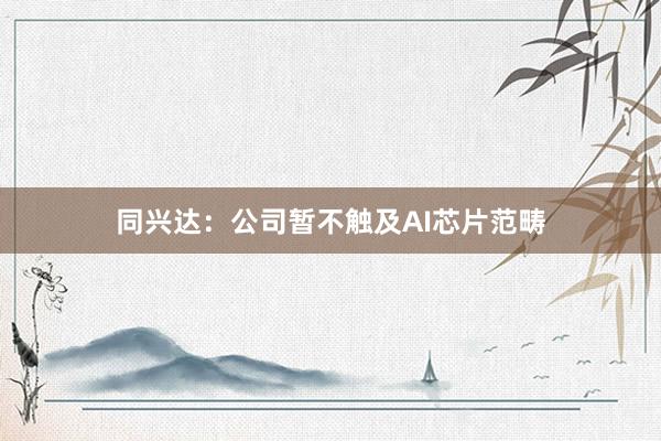 同兴达：公司暂不触及AI芯片范畴