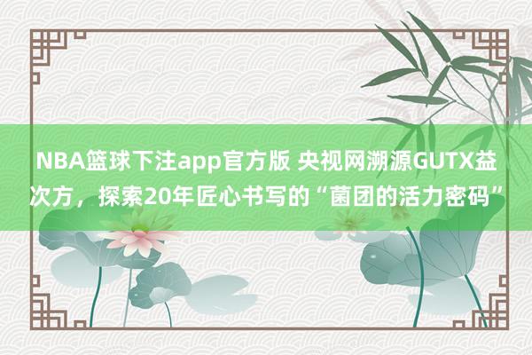 NBA篮球下注app官方版 央视网溯源GUTX益次方，探索20年匠心书写的“菌团的活力密码”