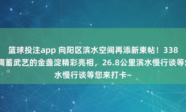 篮球投注app 向阳区滨水空间再添新柬帖！338万立方米调蓄武艺的金盏淀精彩亮相，<a href=