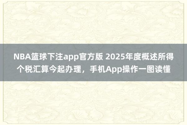 NBA篮球下注app官方版 2025年度概述所得个税汇算今起办理，手机App操作一图读懂