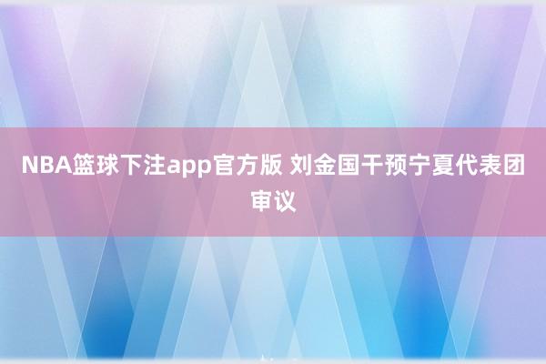 NBA篮球下注app官方版 刘金国干预宁夏代表团审议