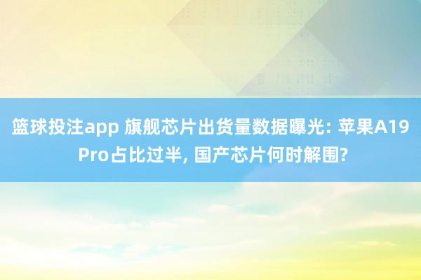 篮球投注app 旗舰芯片出货量数据曝光: 苹果A19 Pro占比过半， 国产芯片何时解围?