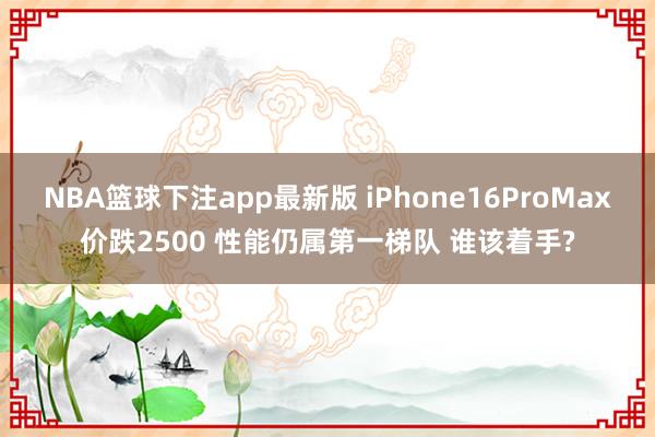 NBA篮球下注app最新版 iPhone16ProMax价跌2500 性能仍属第一梯队 谁该着手?