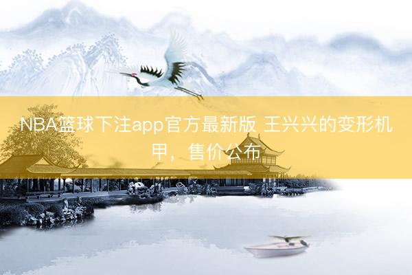 NBA篮球下注app官方最新版 王兴兴的变形机甲，售价公布
