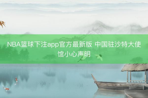 NBA篮球下注app官方最新版 中国驻沙特大使馆小心声明