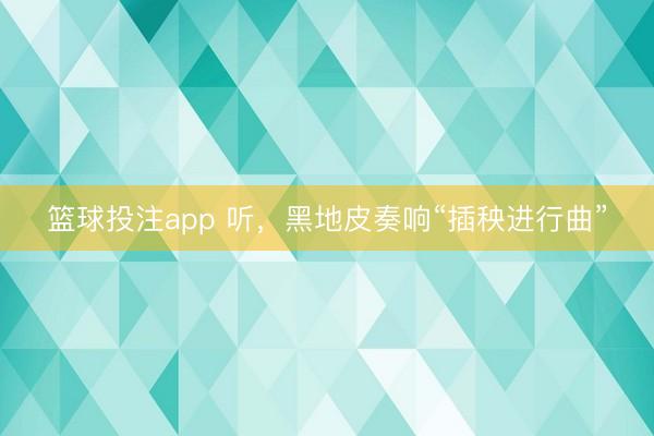 篮球投注app 听，黑地皮奏响“插秧进行曲”