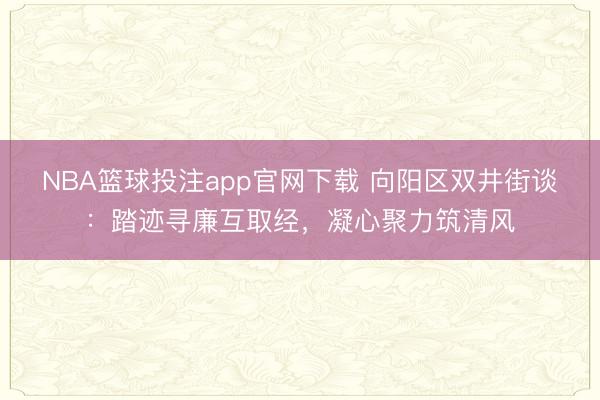NBA篮球投注app官网下载 向阳区双井街谈：踏迹寻廉互取经，凝心聚力筑清风