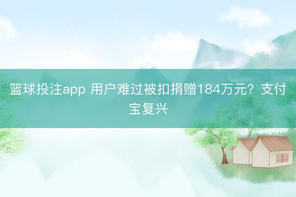 篮球投注app 用户难过被扣捐赠184万元？支付宝复兴