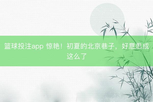 篮球投注app 惊艳！初夏的北京巷子，好意思成这么了