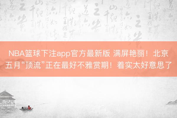 NBA篮球下注app官方最新版 满屏艳丽！北京五月“顶流”正在最好不雅赏期！着实太好意思了