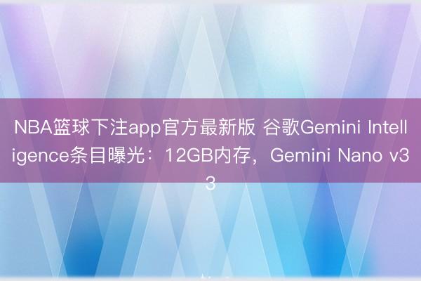NBA篮球下注app官方最新版 谷歌Gemini Intelligence条目曝光：12GB内存，Gemini Nano v3
