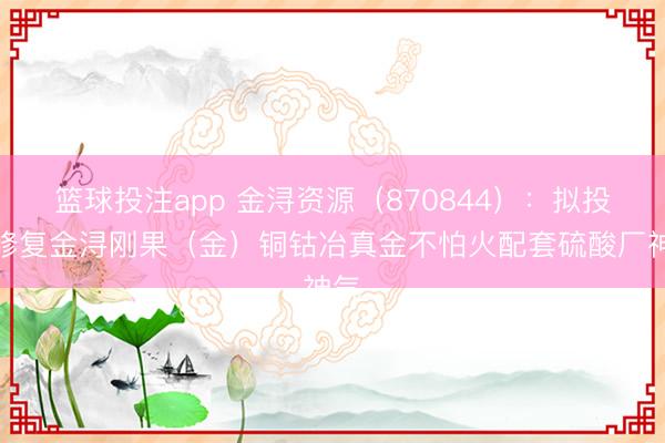 篮球投注app 金浔资源（870844）：拟投资修复金浔刚果（金）铜钴冶真金不怕火配套硫酸厂神气