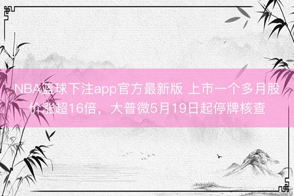NBA篮球下注app官方最新版 上市一个多月股价涨超16倍，大普微5月19日起停牌核查