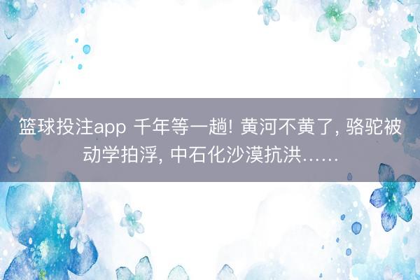 篮球投注app 千年等一趟! 黄河不黄了， 骆驼被动学拍浮， 中石化沙漠抗洪……