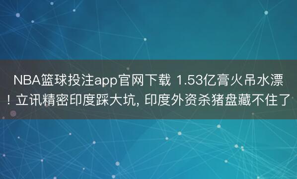 NBA篮球投注app官网下载 1.53亿膏火吊水漂! 立讯精