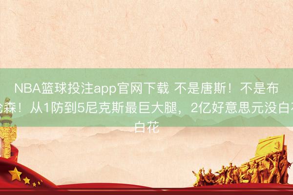NBA篮球投注app官网下载 不是唐斯！不是布伦森！从1防到5尼克斯最巨大腿，2亿好意思元没白花