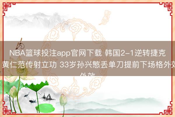 NBA篮球投注app官网下载 韩国2-1逆转捷克! 黄仁范传射立功 33岁孙兴慜丢单刀提前下场格外效