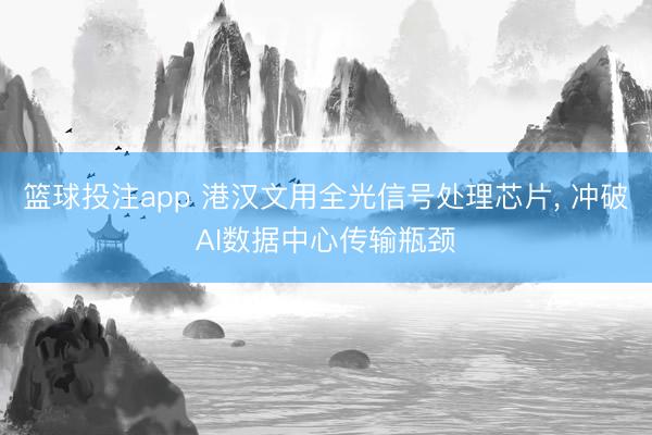 篮球投注app 港汉文用全光信号处理芯片， 冲破AI数据中心传输瓶颈