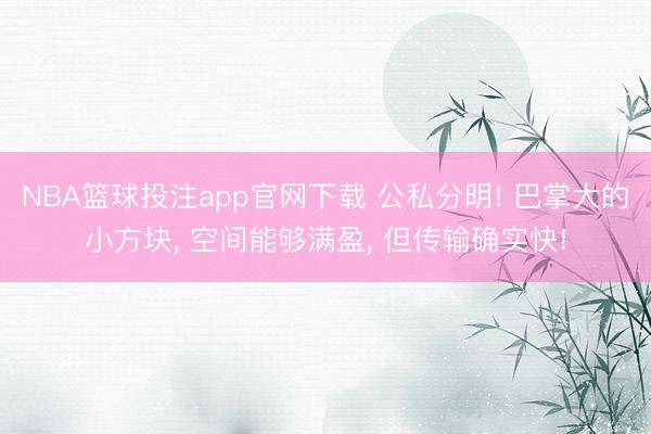 NBA篮球投注app官网下载 公私分明! 巴掌大的小方块， 空间能够满盈， 但传输确实快!