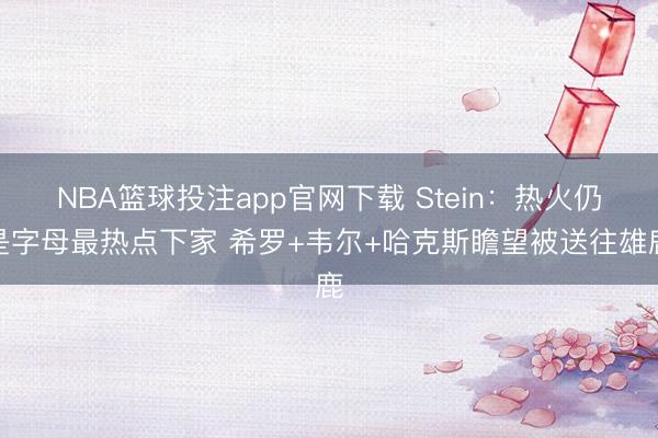 NBA篮球投注app官网下载 Stein：热火仍是字母最热点下家 希罗+韦尔+哈克斯瞻望被送往雄鹿