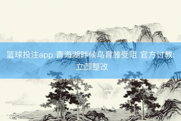 篮球投注app 青海湖畔候鸟育雏受阻 官方讨教: 立即整改