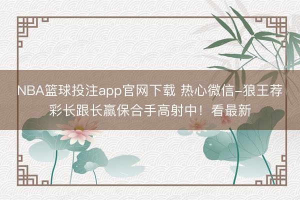 NBA篮球投注app官网下载 热心微信-狼王荐彩长跟长赢保合手高射中！看最新